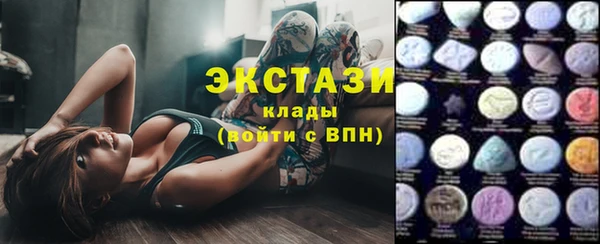 гашик Алексин