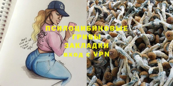 apvp Бежецк
