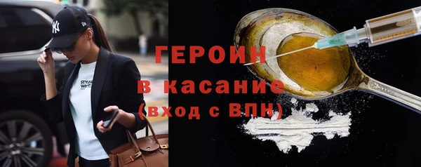 гашик Алексин