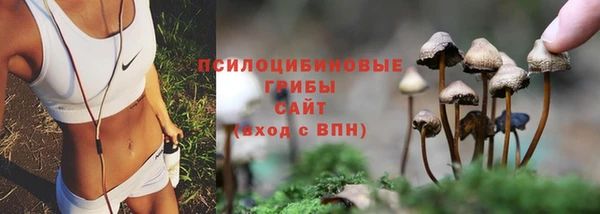 дурь Алзамай