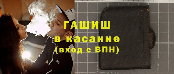 гашик Алексин