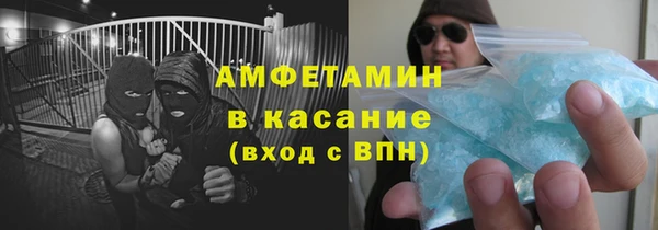 гашик Алексин