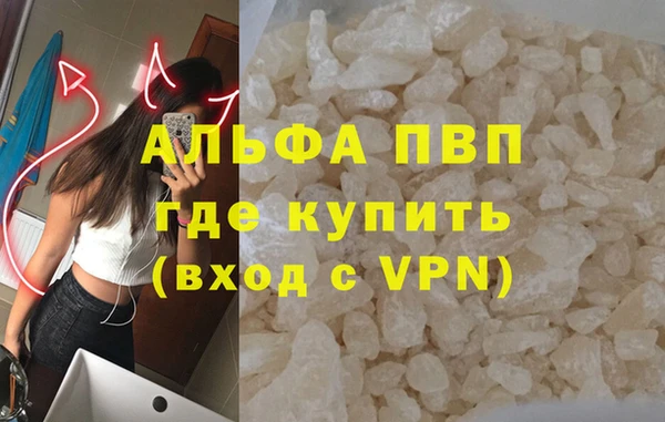 гашик Алексин