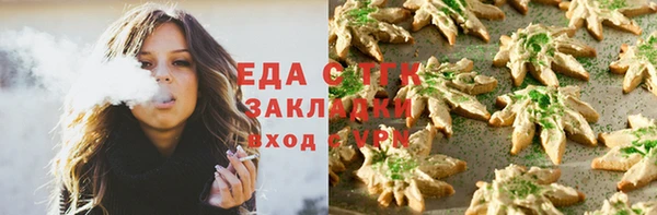 гашик Алексин