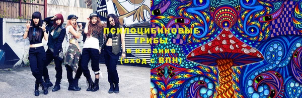 дурь Алзамай