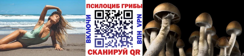 даркнет сайт  сайты даркнета телеграм  Псилоцибиновые грибы мухоморы  Нововоронеж  blacksprut ССЫЛКА 