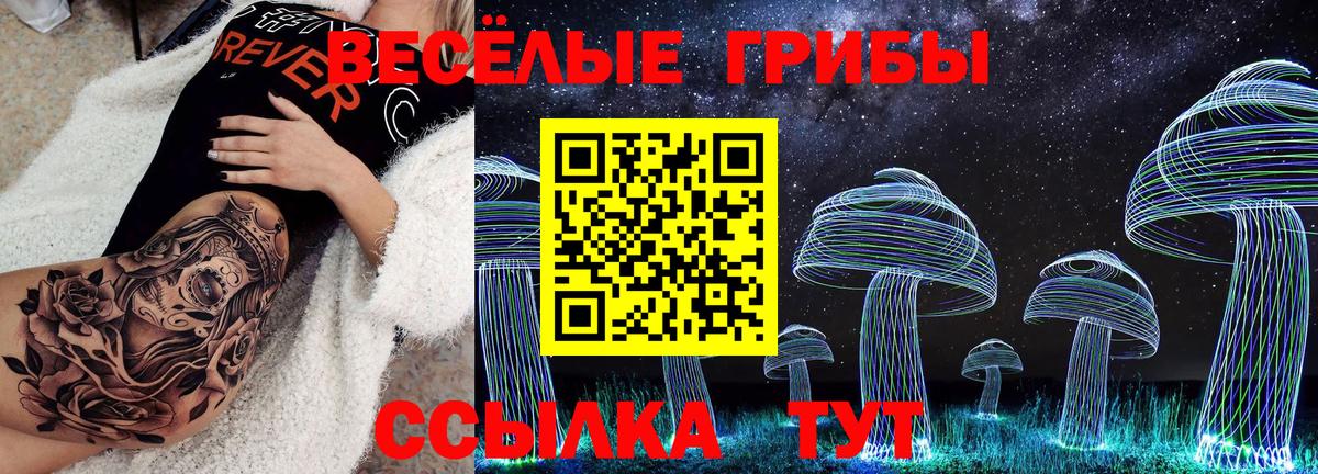 где купить   Вход с VPN  Нововоронеж  Галлюциногенные грибы ЛСД 