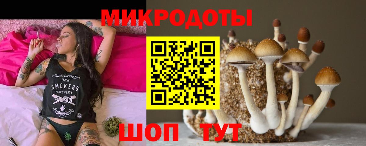 Галлюциногенные грибы GOLDEN TEACHER Нововоронеж